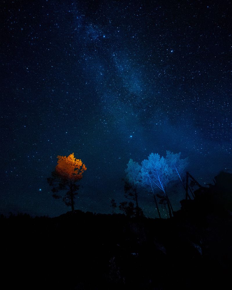 Photograph by Шевченко Юлия