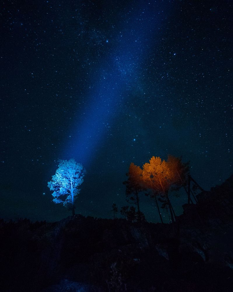 Photograph by Шевченко Юлия