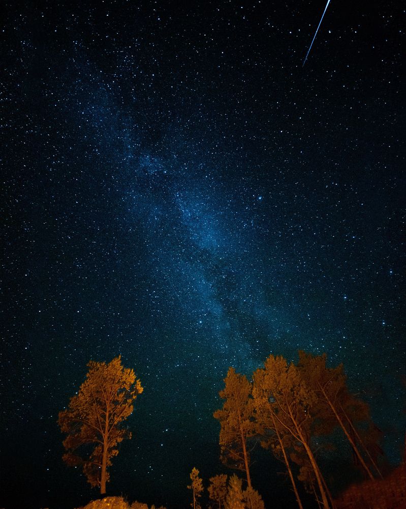 Photograph by Шевченко Юлия