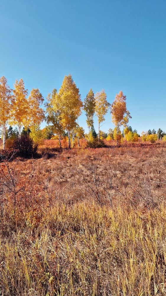 Photograph by Елена Федоткина