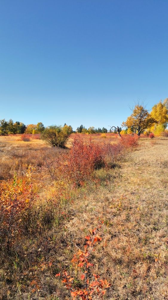 Photograph by Елена Федоткина