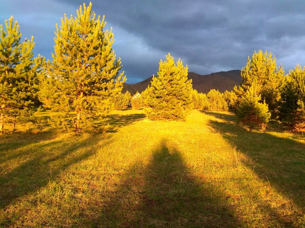 Photograph by Шевченко Юлия