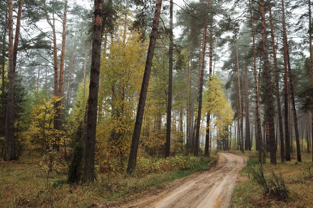 Photograph by Александр Строков