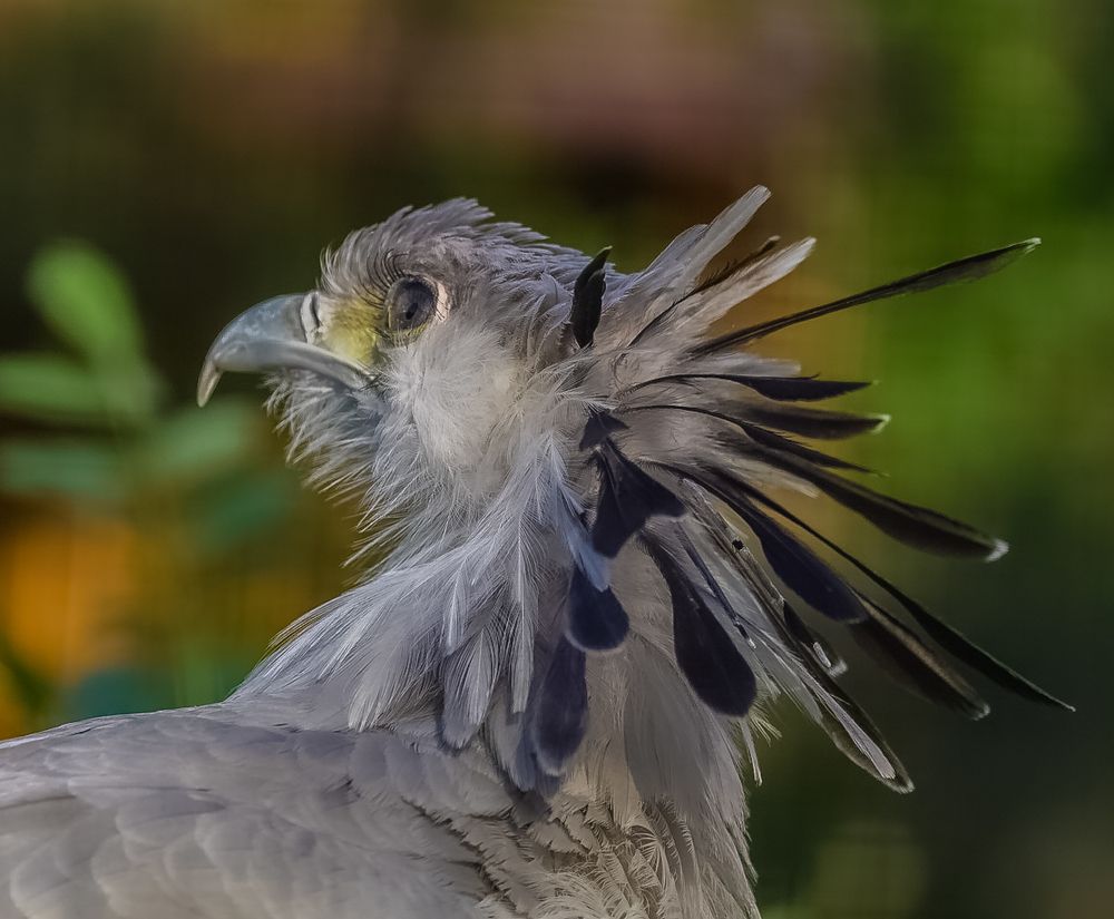 Крупным планом....