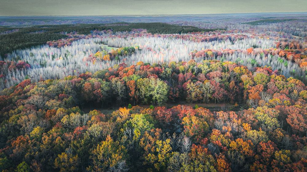 Photograph by Guanhua Yao