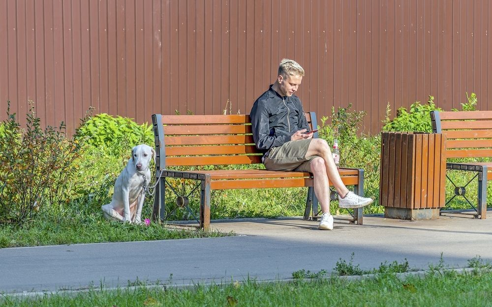 Photograph by Валерий Клейменов