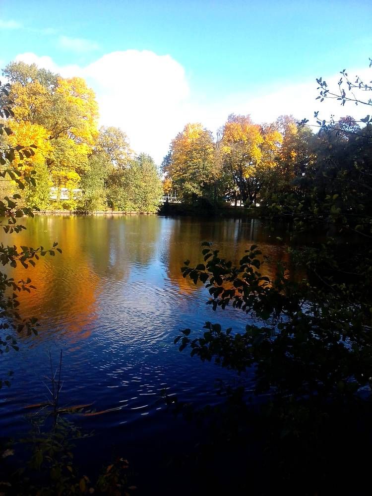 Осенний день.