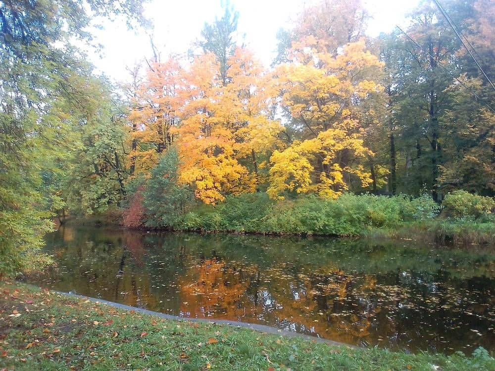 Золотая осень.