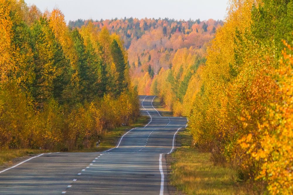 Photograph by Дмитрий Пасынков