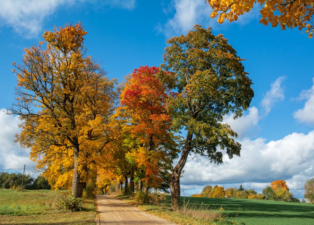 Photograph by Agita Leimane