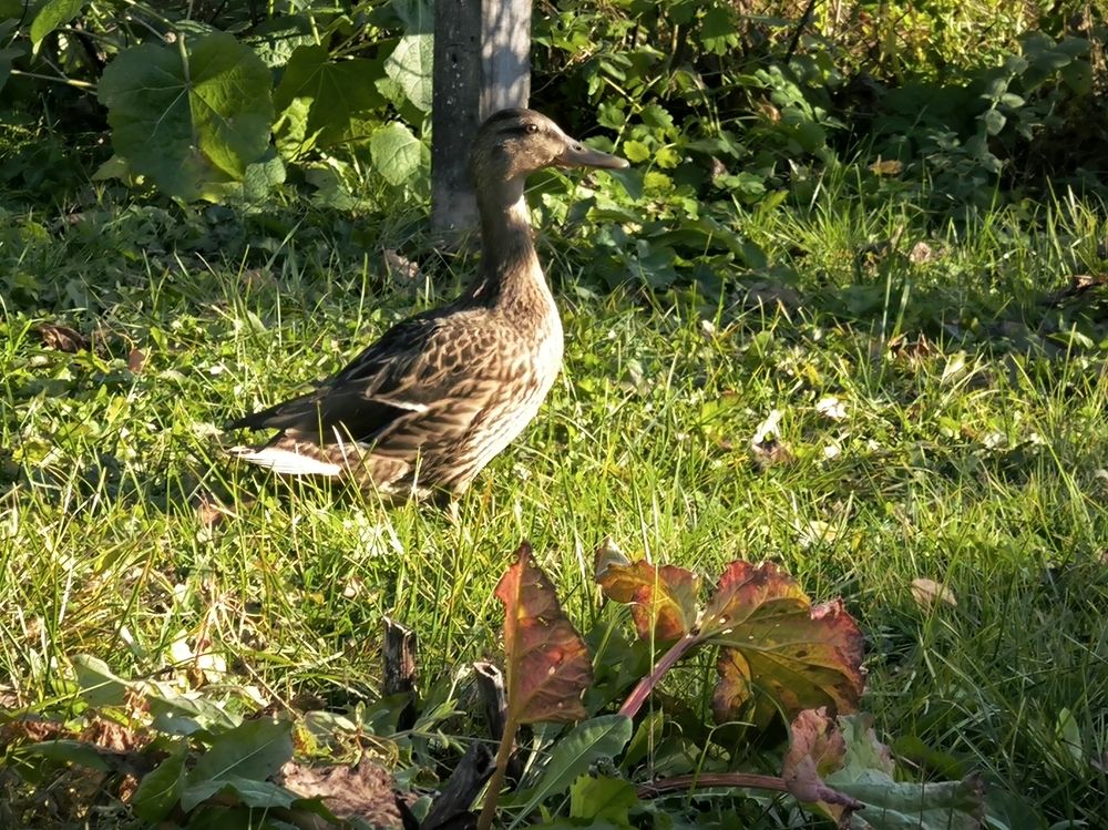 Фотография автора Александр Осинцев