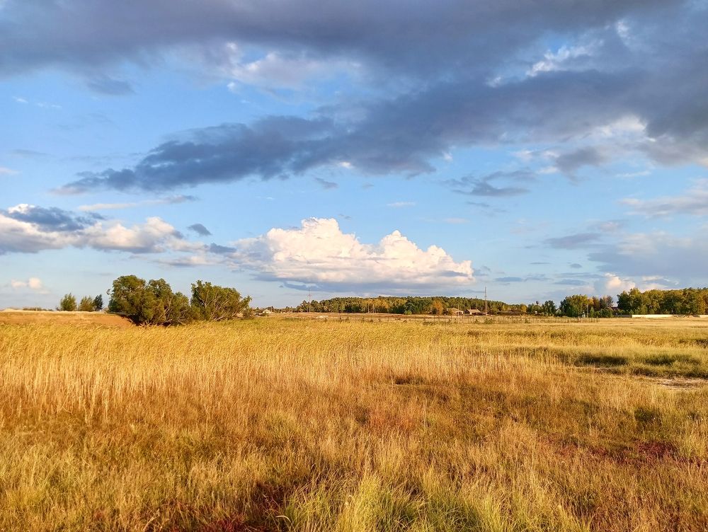 Photograph by Вячеслав Булатов