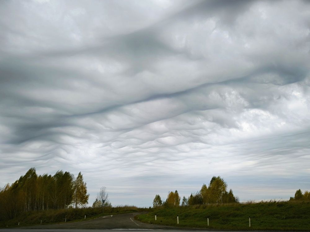 Фотография автора Александр Осинцев