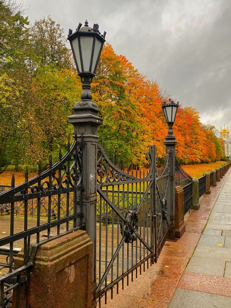 Autumn in Pushkin