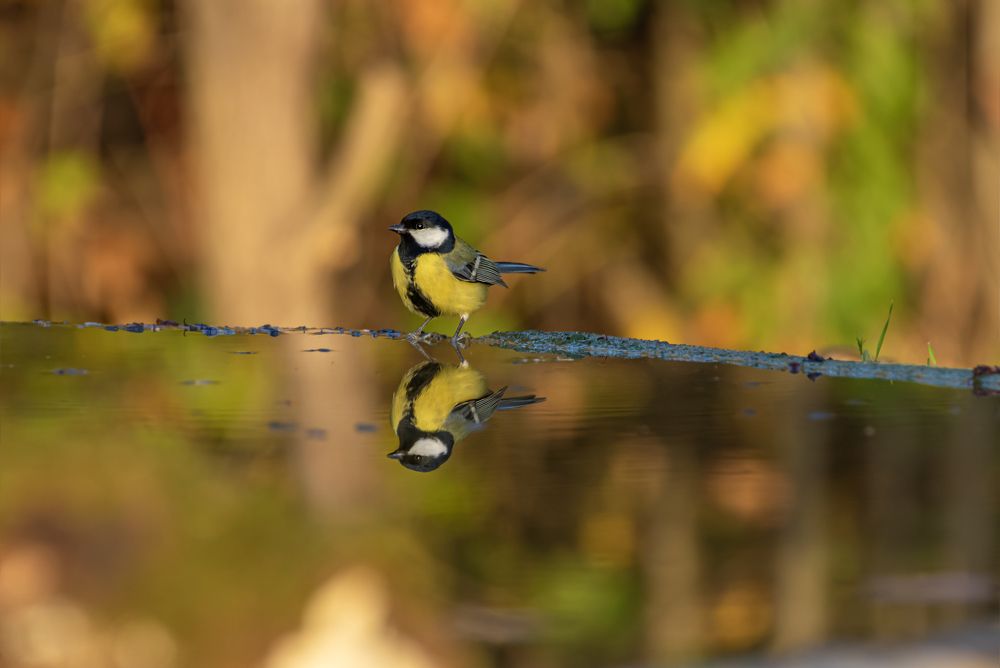 Photograph by Stoyo Stoev