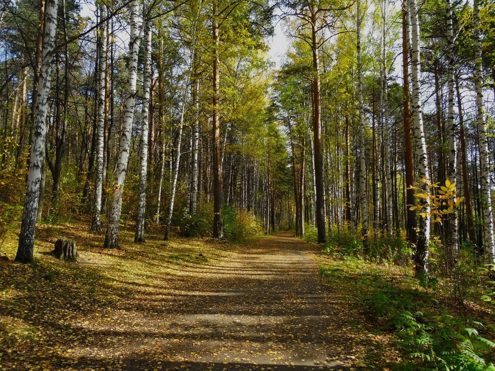 Photograph by Марина Раткун