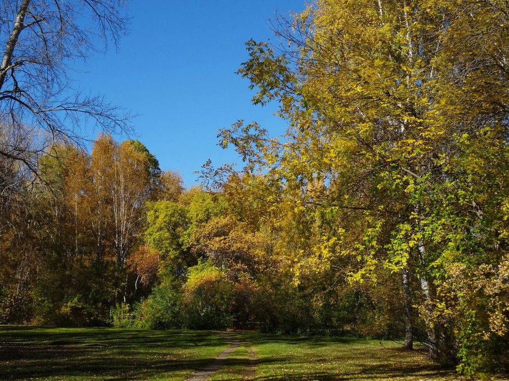 Photograph by Марина Раткун