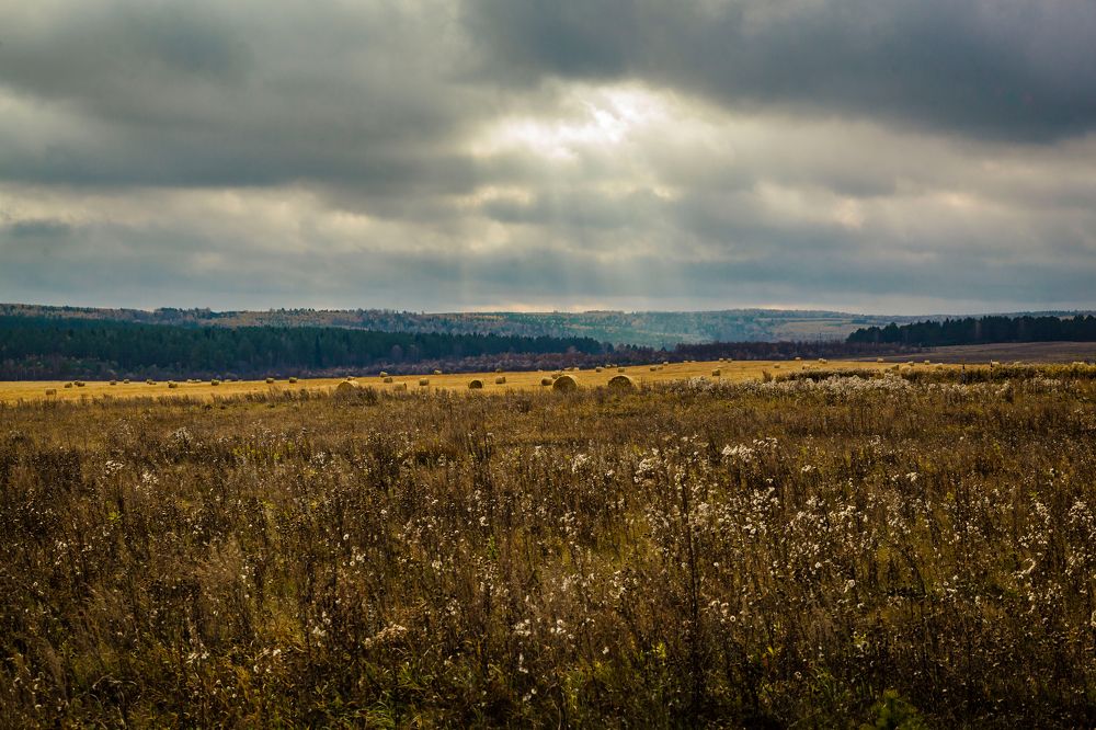 Photograph by Игорь Сидун