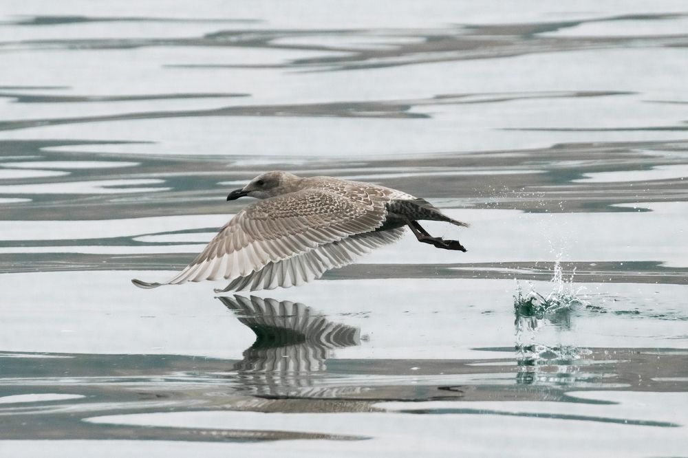 Photograph by Юлия Хобта