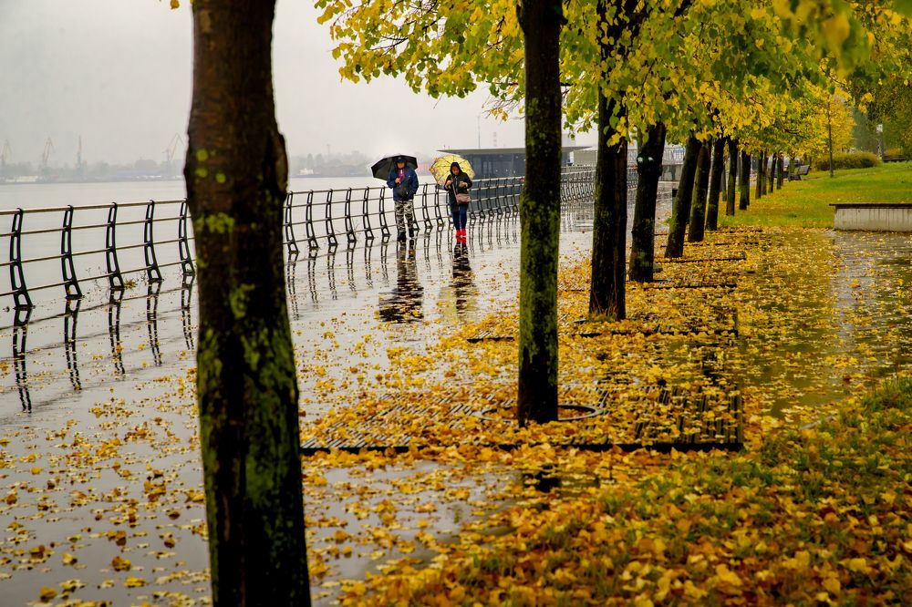 Photograph by Владимир Говоров