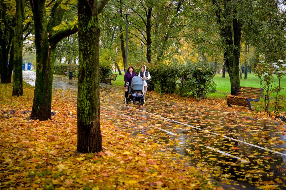 Photograph by Владимир Говоров