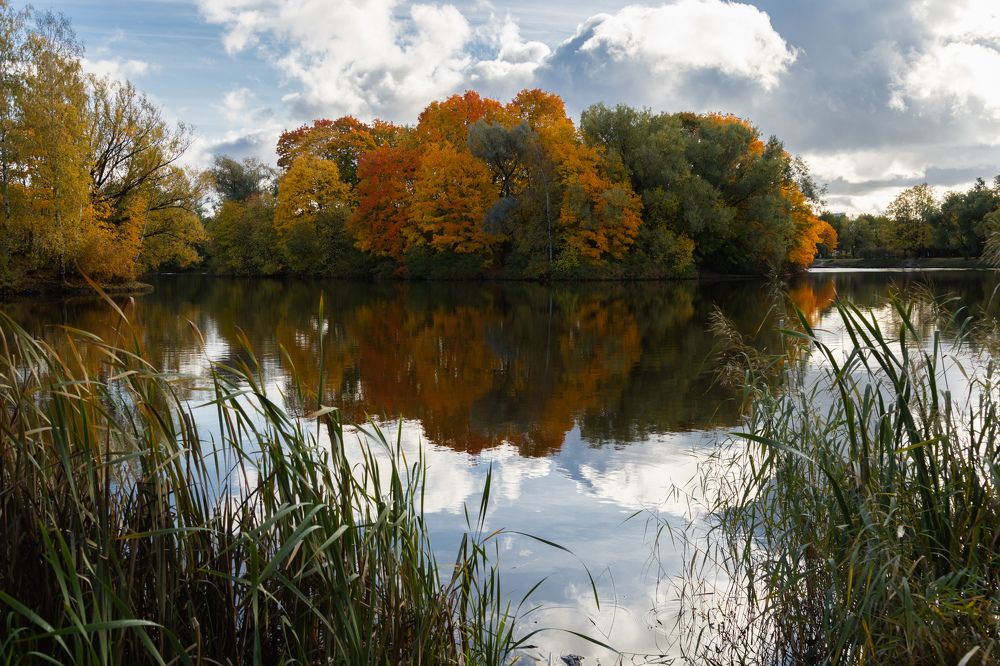 Photograph by Olga Min