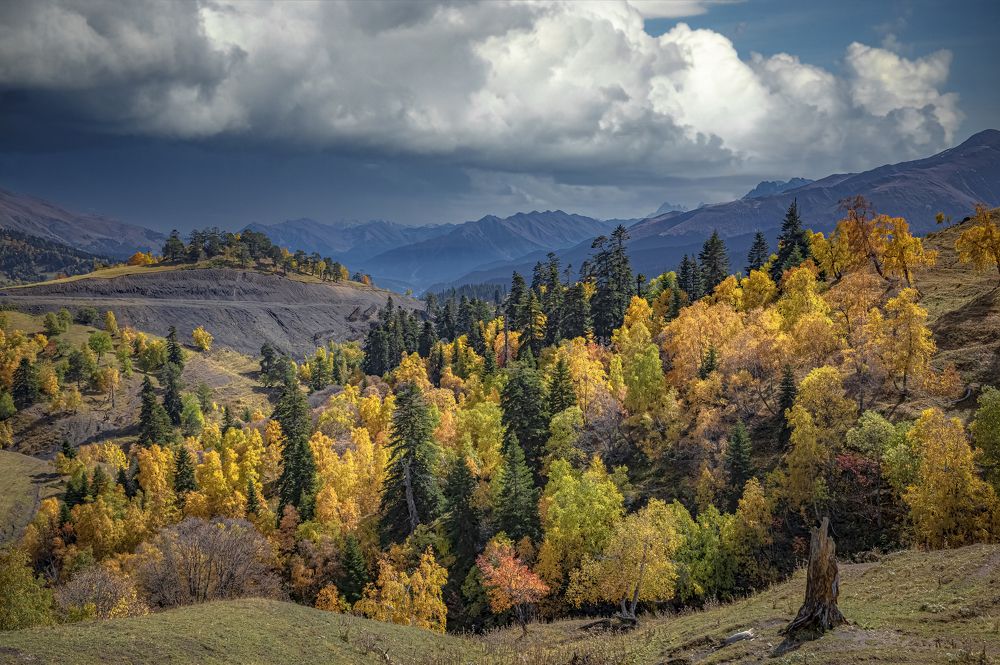 Photograph by Алексей Мякота
