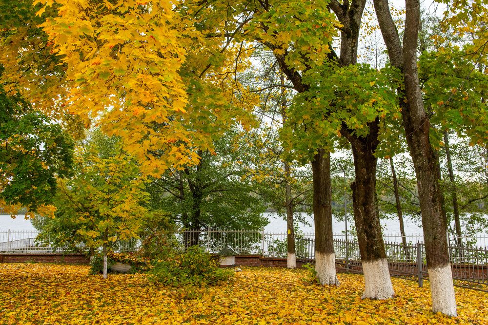 Photograph by Владимир Парсяк