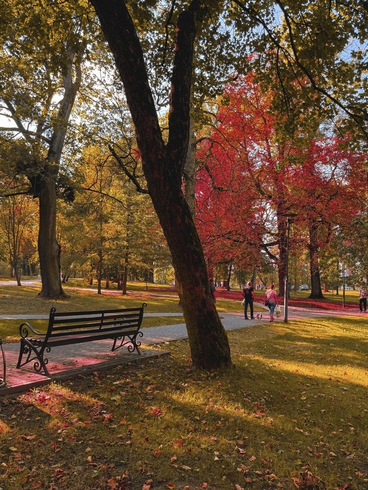 Photograph by Zhanna Kolesnikova