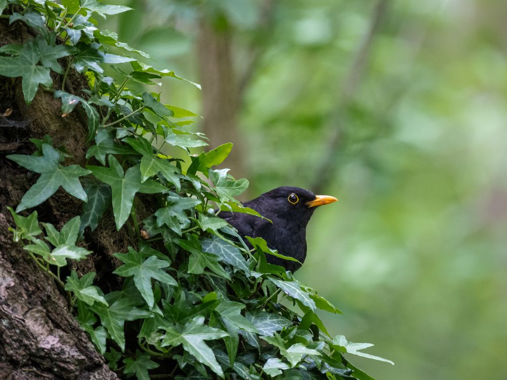 Photograph by Eduard Zhuravlev