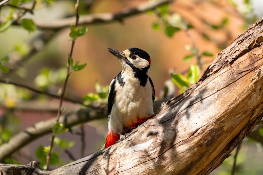 Photograph by Андрей Бовин