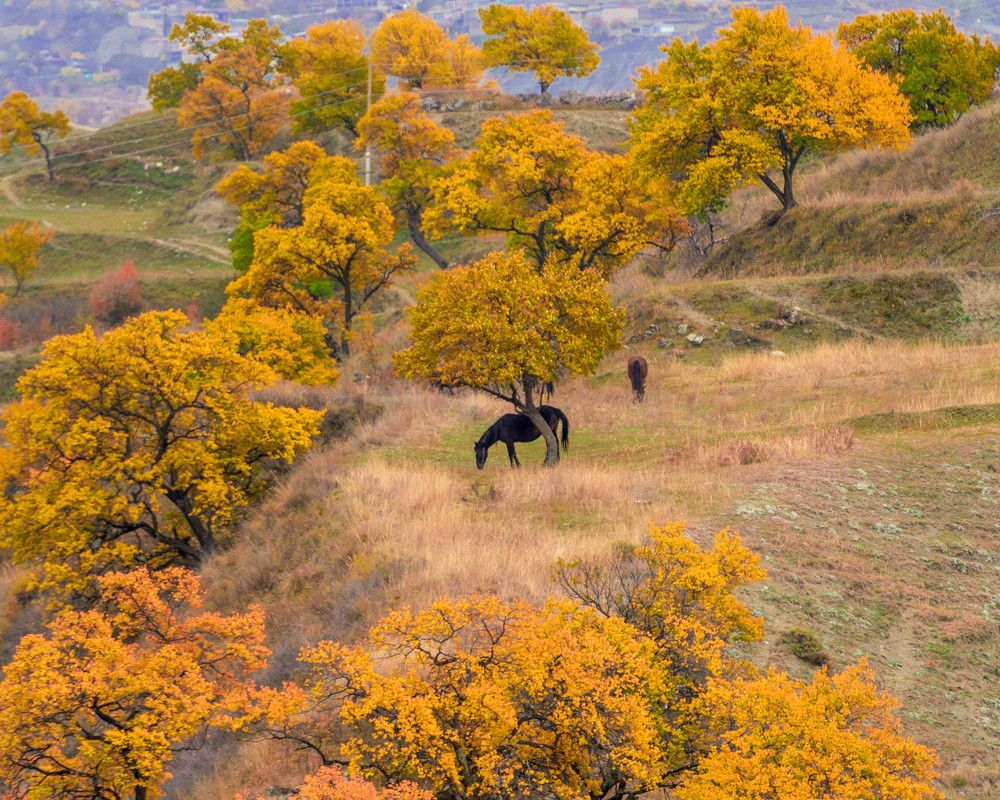 Photograph by Антипов Игорь