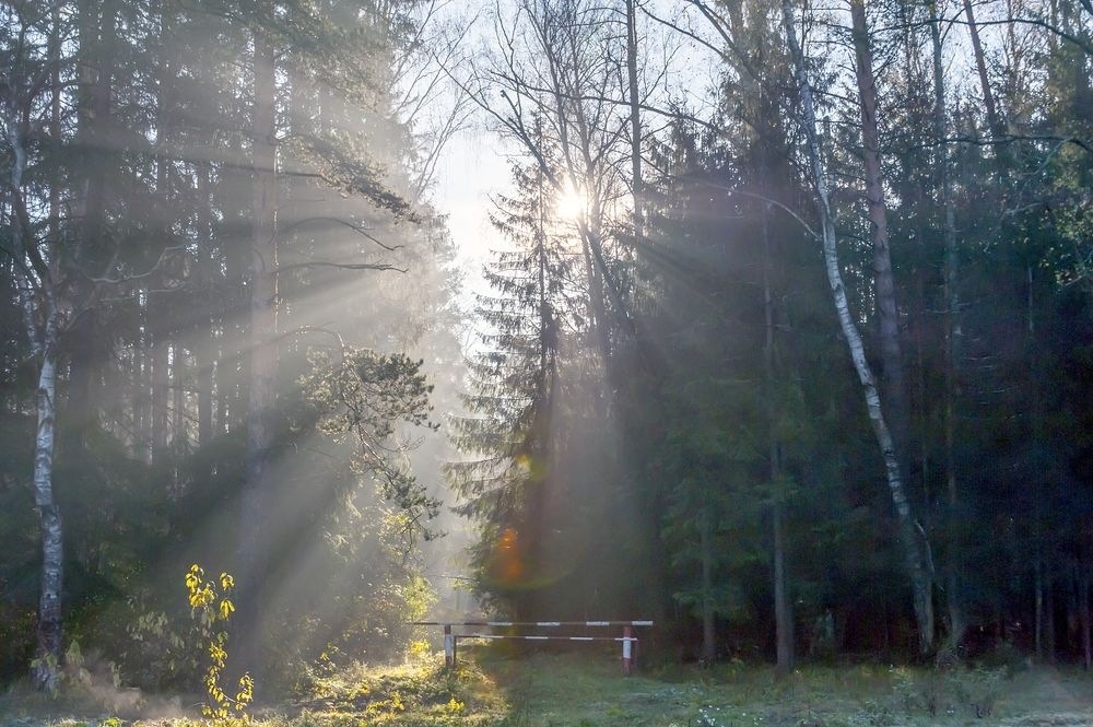 Photograph by Валерий Клейменов