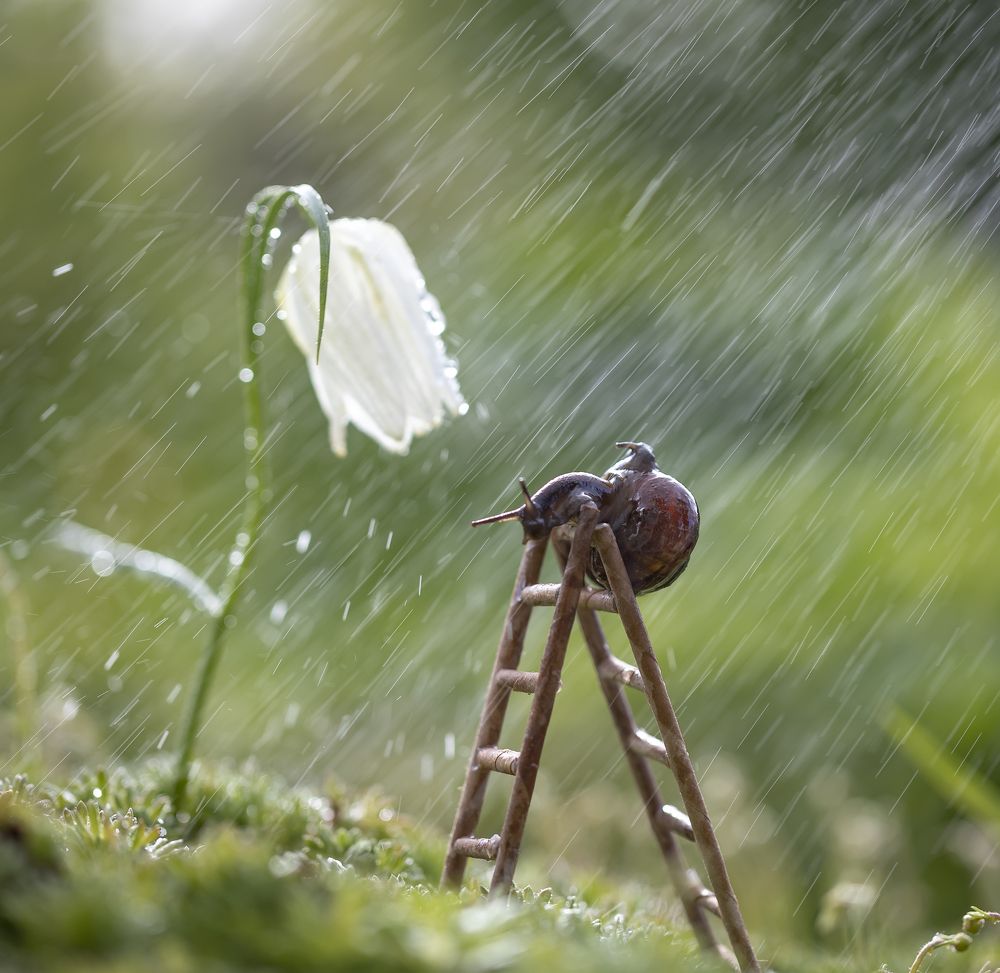 Photograph by Татьяна Феденкова