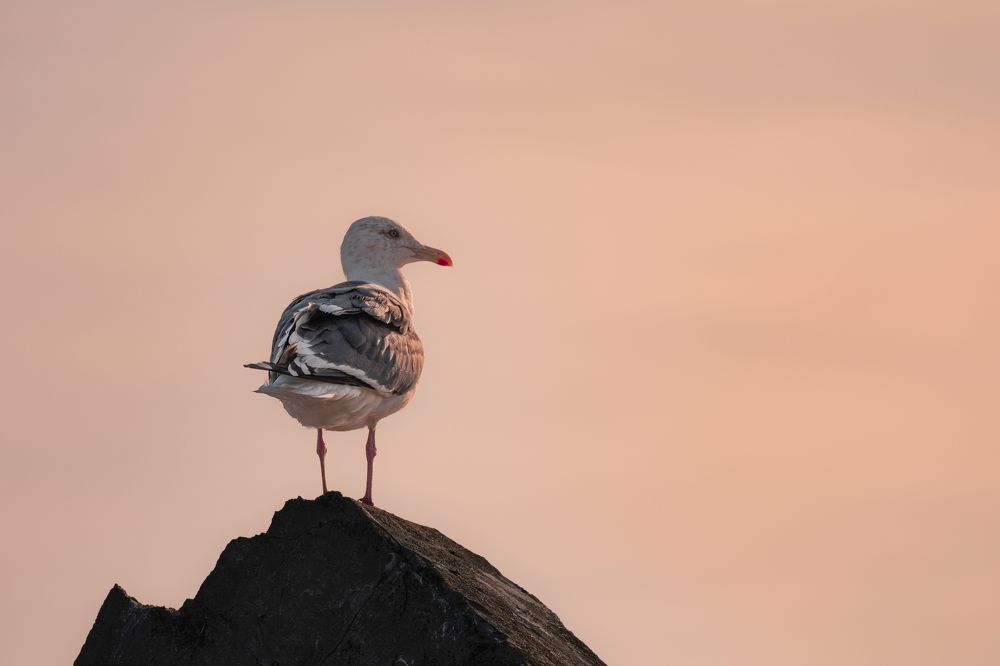 Photograph by goiiiguk