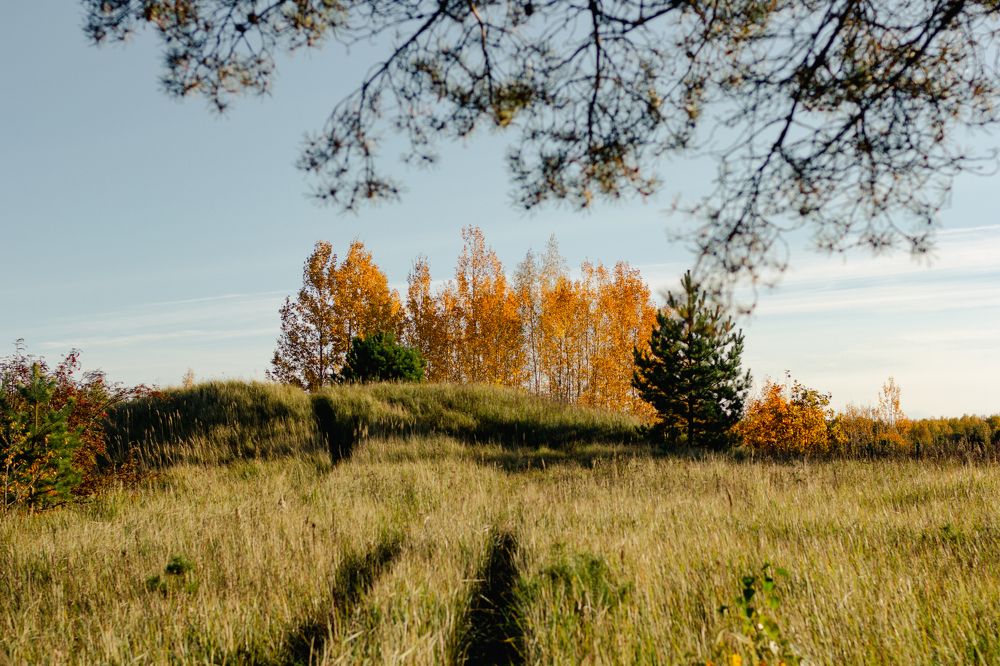 Photograph by Dmitriy Stepanov