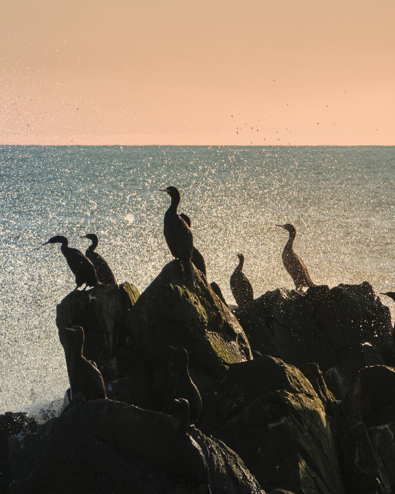 Photograph by goiiiguk