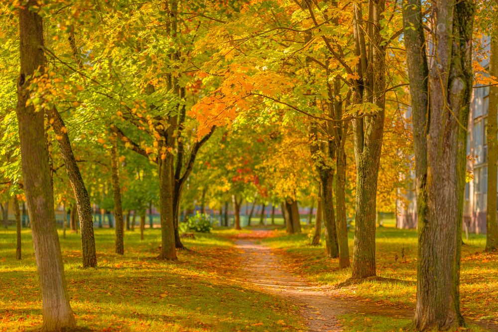 Photograph by БОРИС БЕЛКАНИЯ