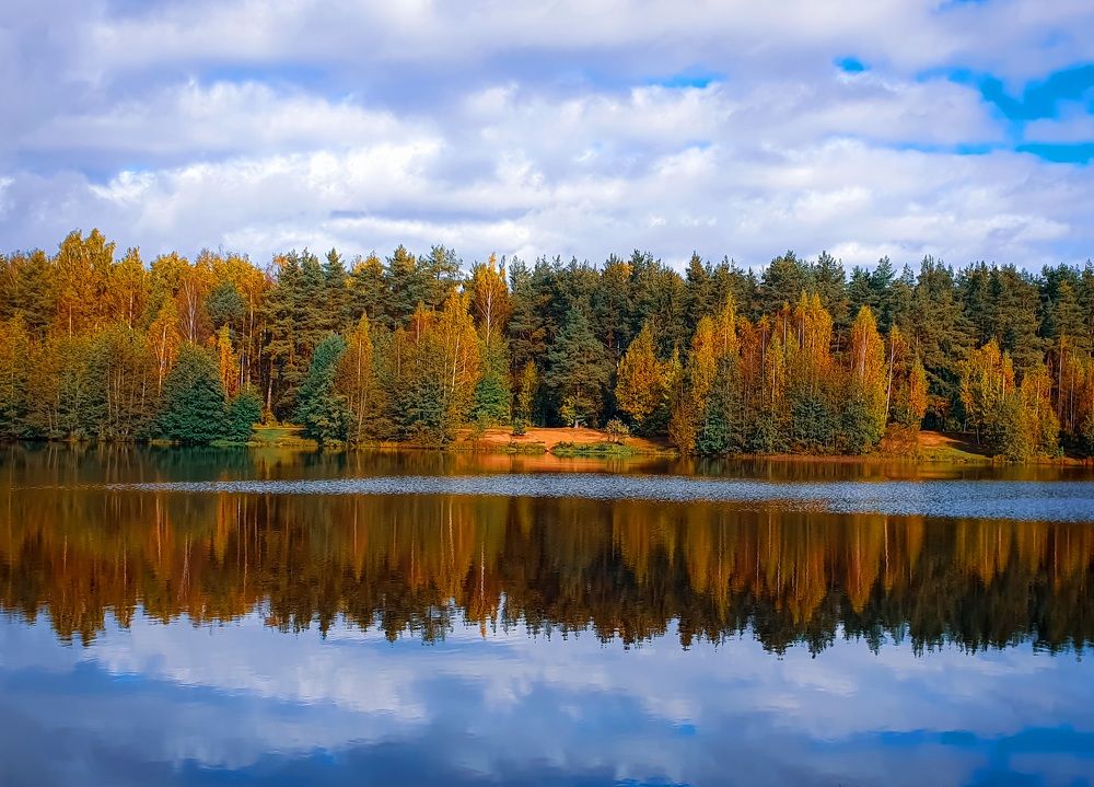 Фотография автора Inna Evseeva