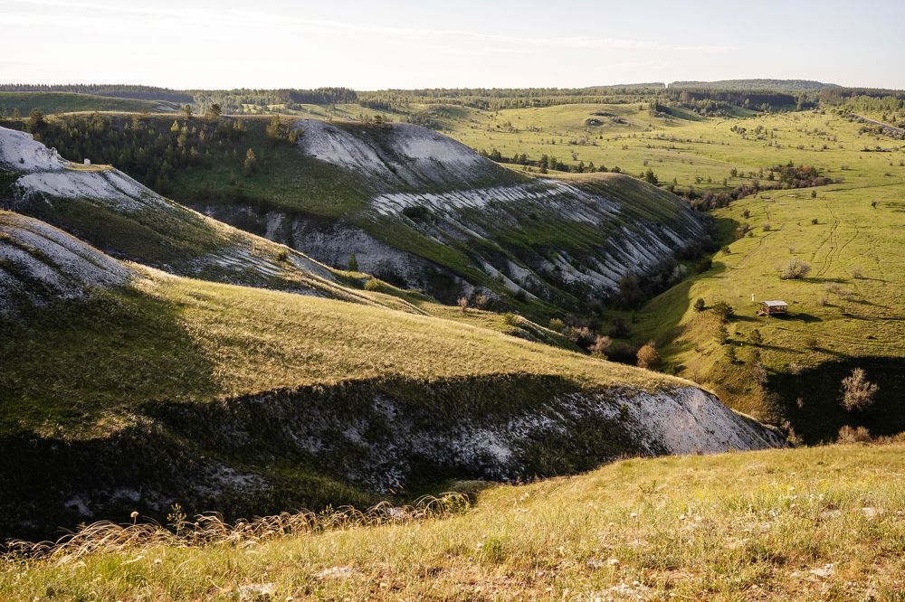 Photograph by Ольга Белопухова