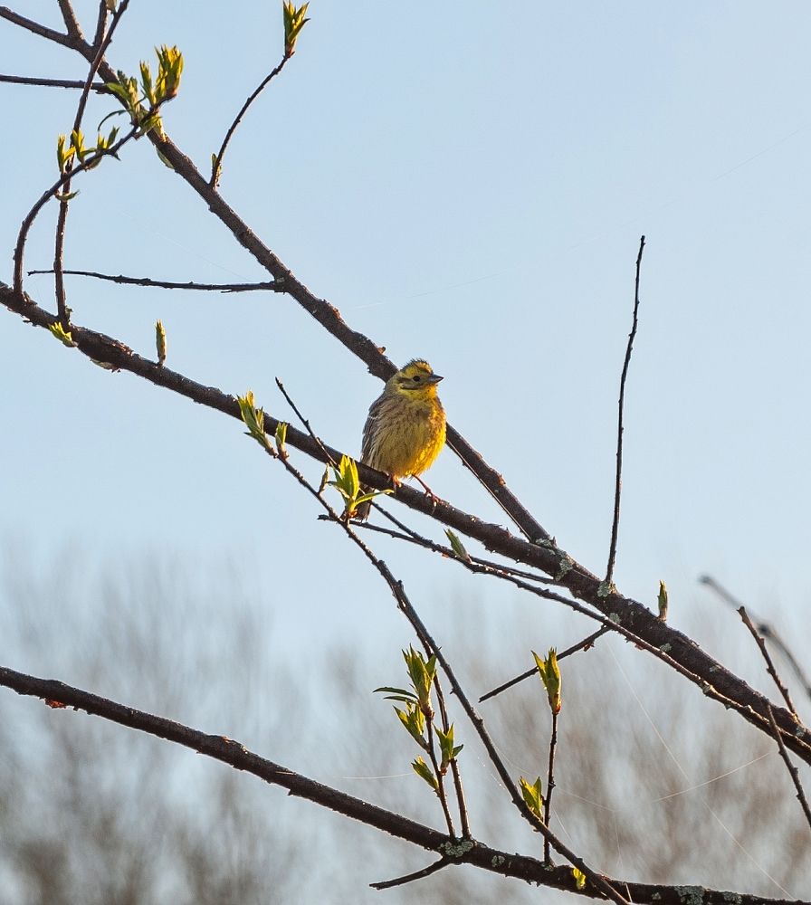 Photograph by Валерий Клейменов