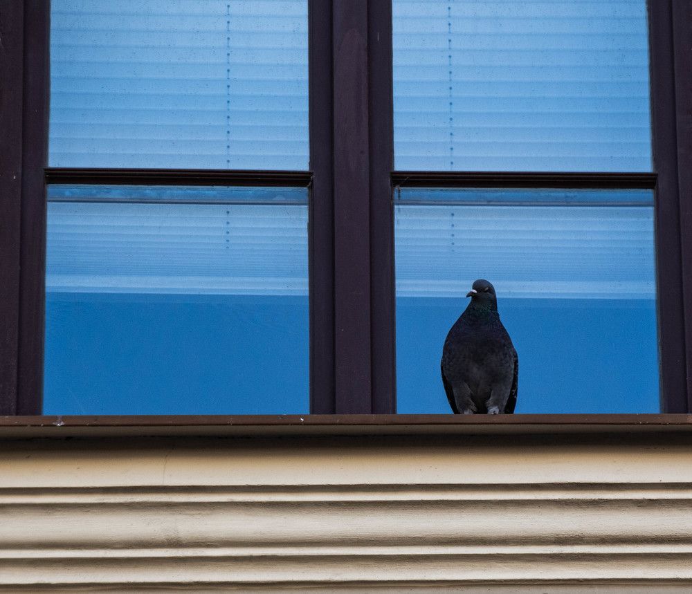 Photograph by Наталья Веряскина