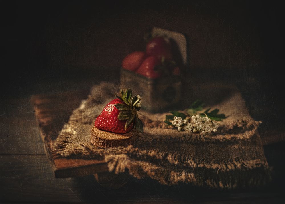 Photograph by Елена Сивенок