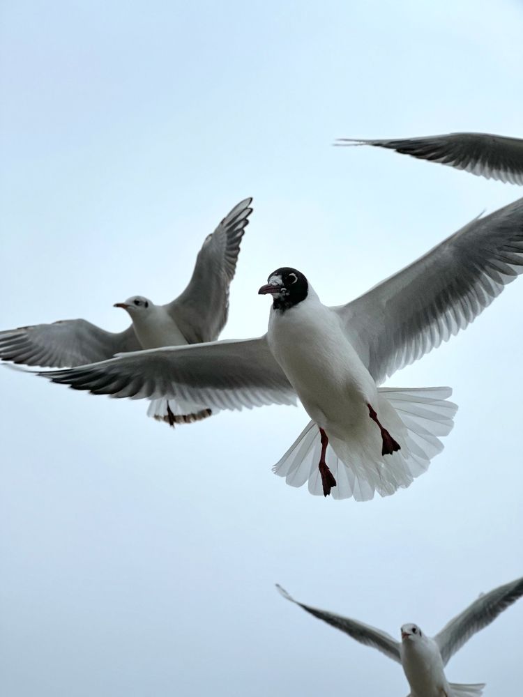 Photograph by Екатерина Балакина