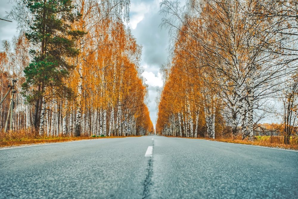 Photograph by Паша Савельев