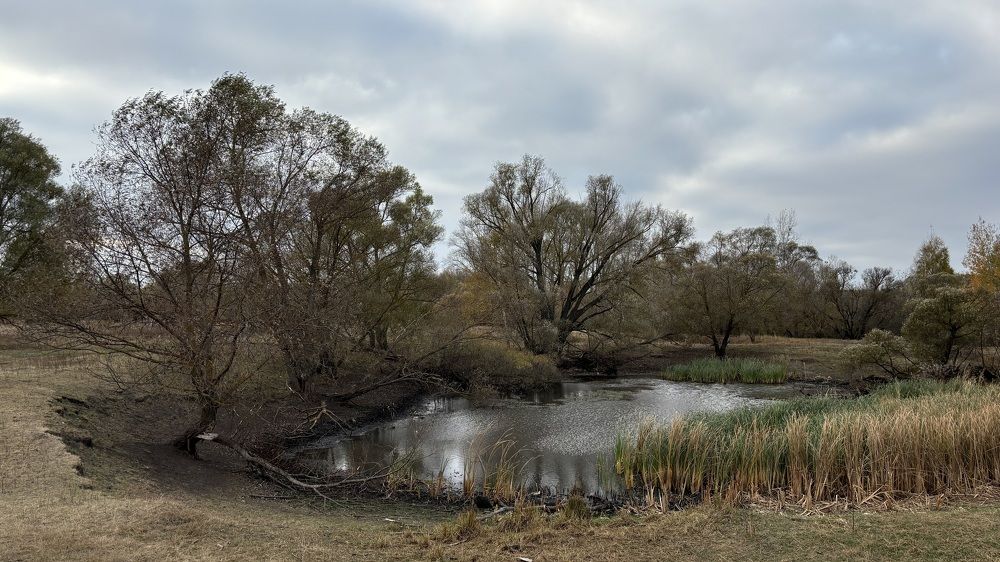 Photograph by Елена Гущина