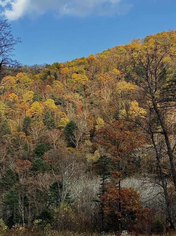 Photograph by Дина Желанова