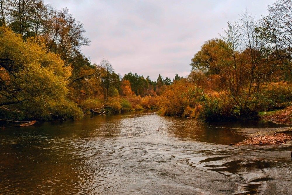 Photograph by Дарья Булавина