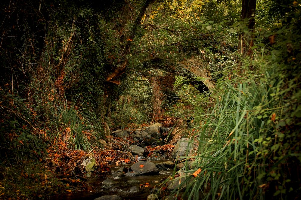 Photograph by Павел