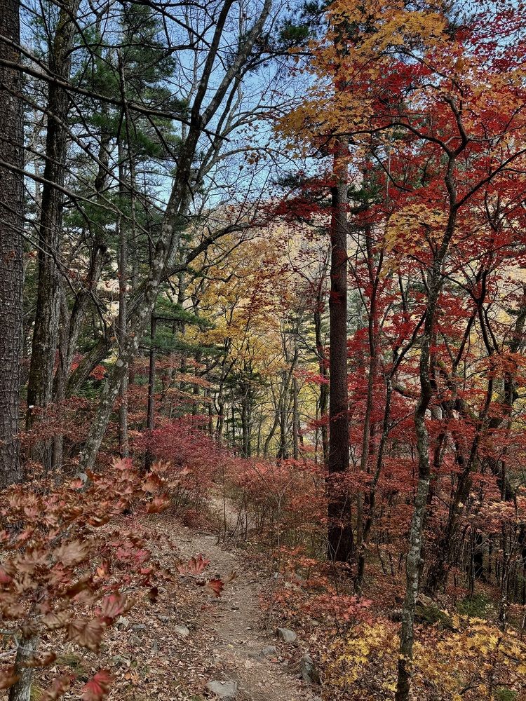 Photograph by Дина Желанова